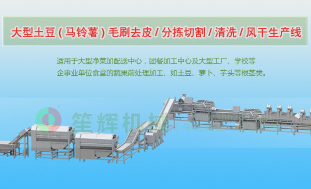 政和连续式土豆去皮清洗切割风干生产线